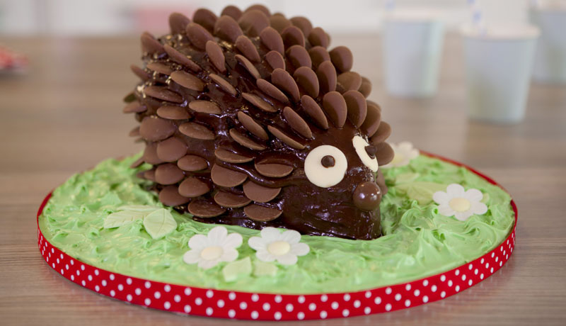 Chocolate Hedgehog Cake