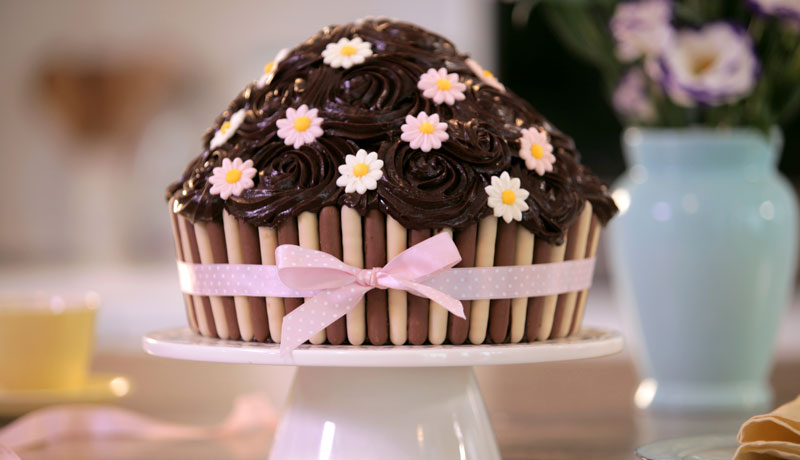 Giant Chocolate Cupcake