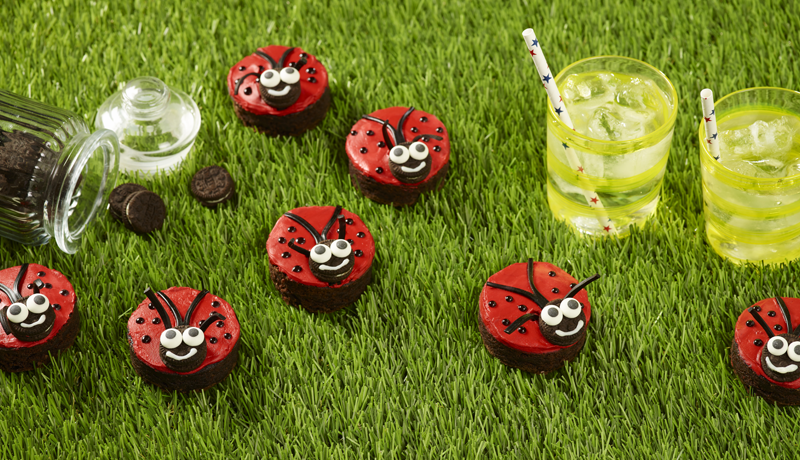 Ladybird Brownies