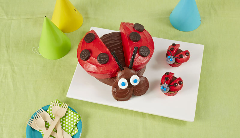 Ladybird Cake