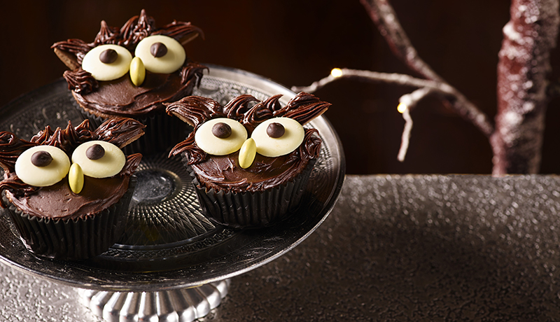 Owl Cupcakes