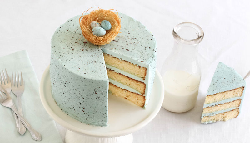 Speckled Egg Malted Milk Cake