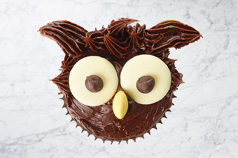 Owl Cupcakes recipe
